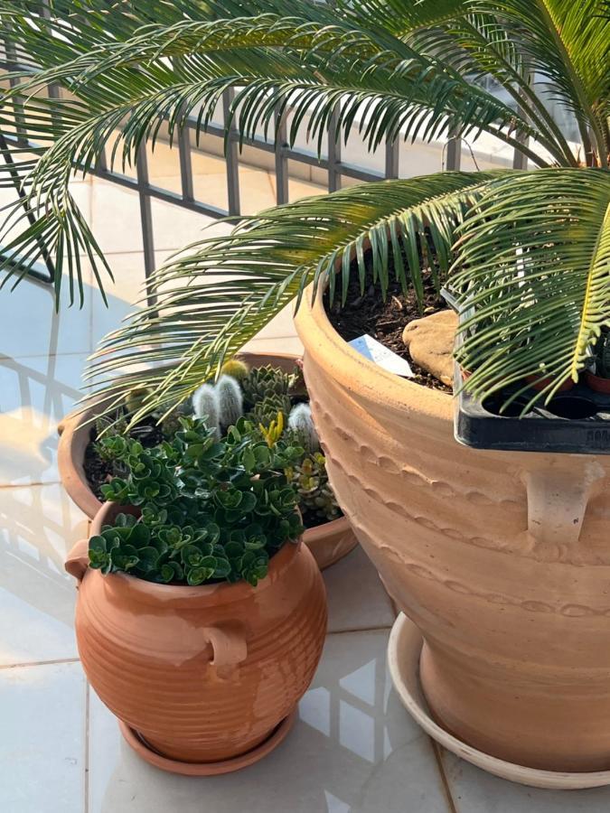 Magical Seaside Town Boutique Apts 2 Kyparissia Esterno foto
